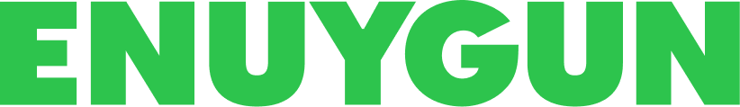 Wingie Enuygun logo
