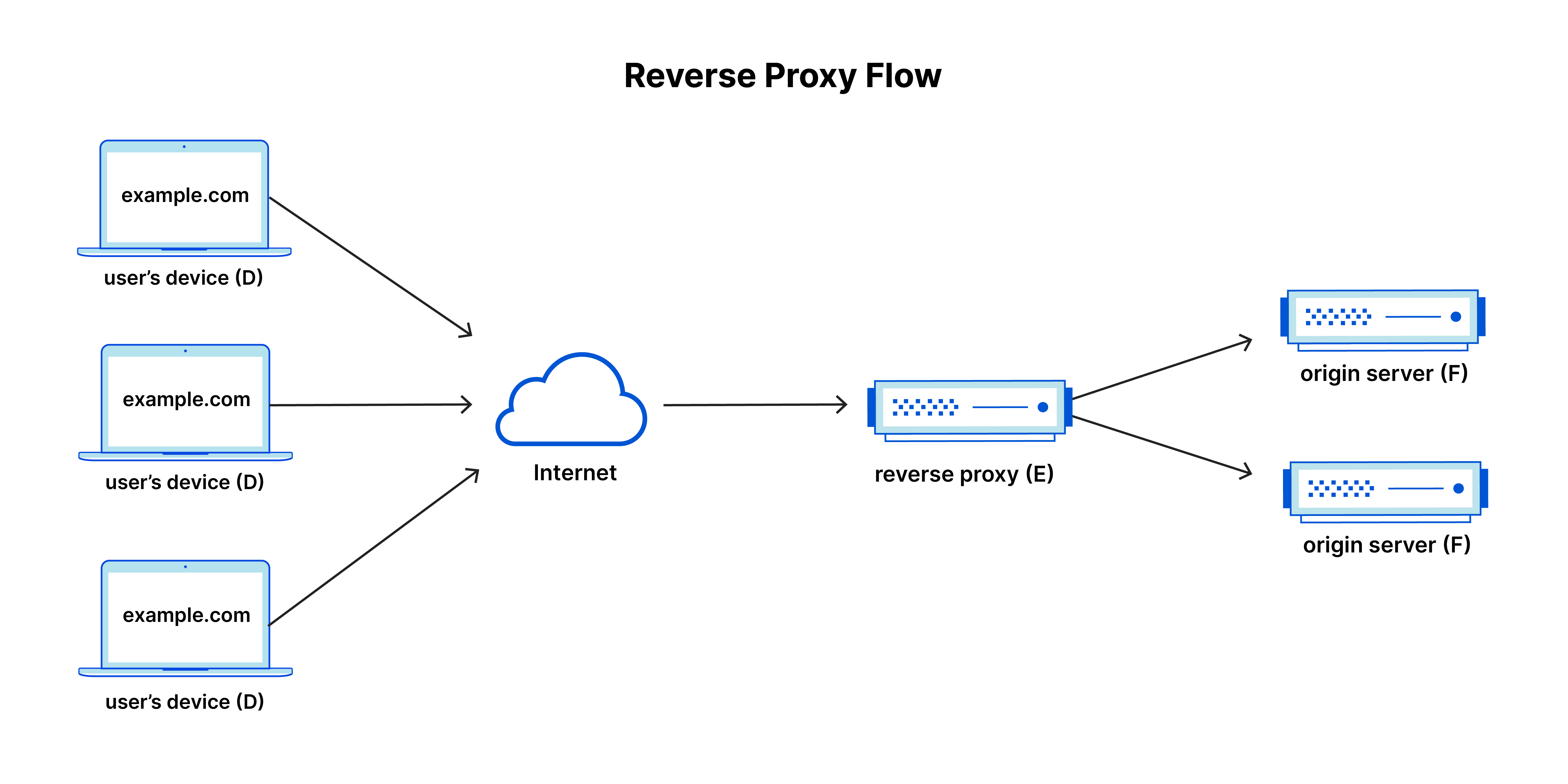 Reverse proxy flow: traffic flows from user