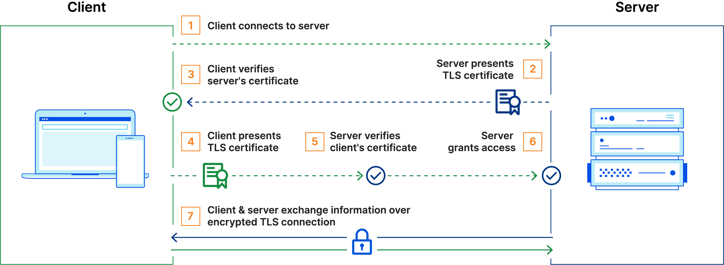 The basic steps in a mutual TLS (mTLS) handshake