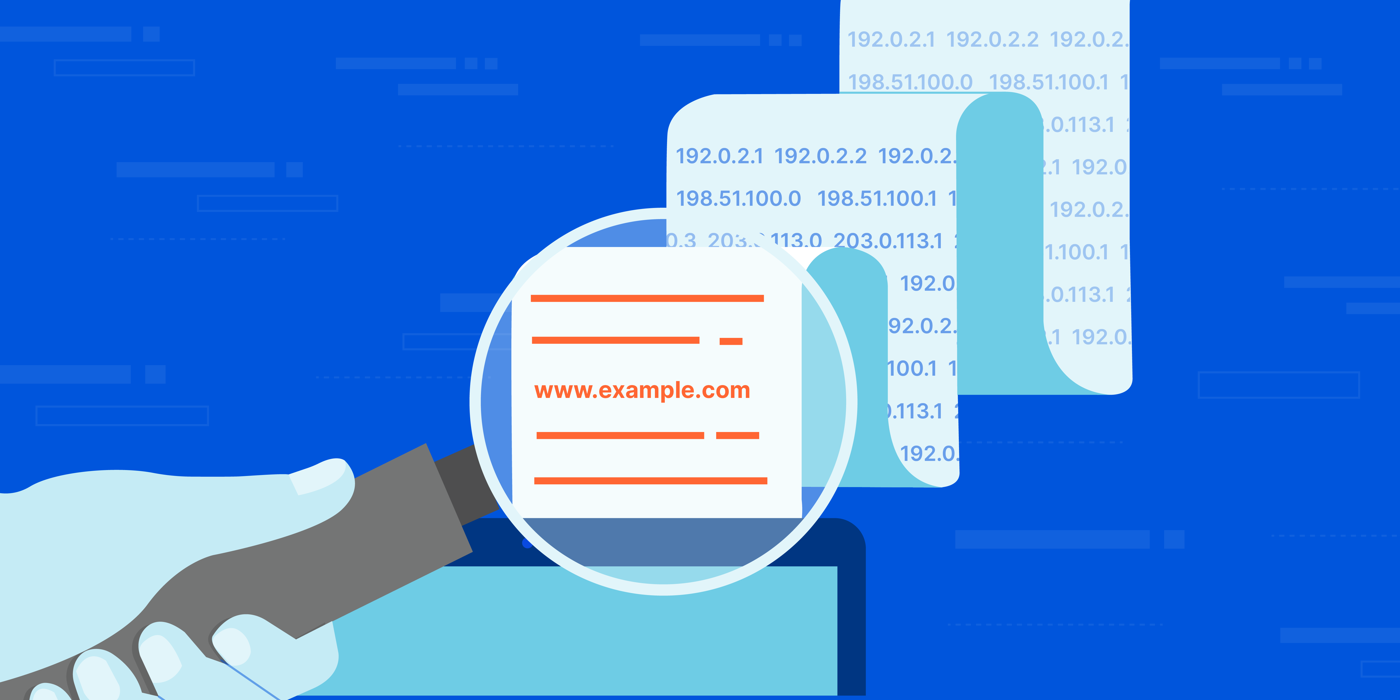 DNS – Lupe prüft IP-Adressen, findet www.example.com
