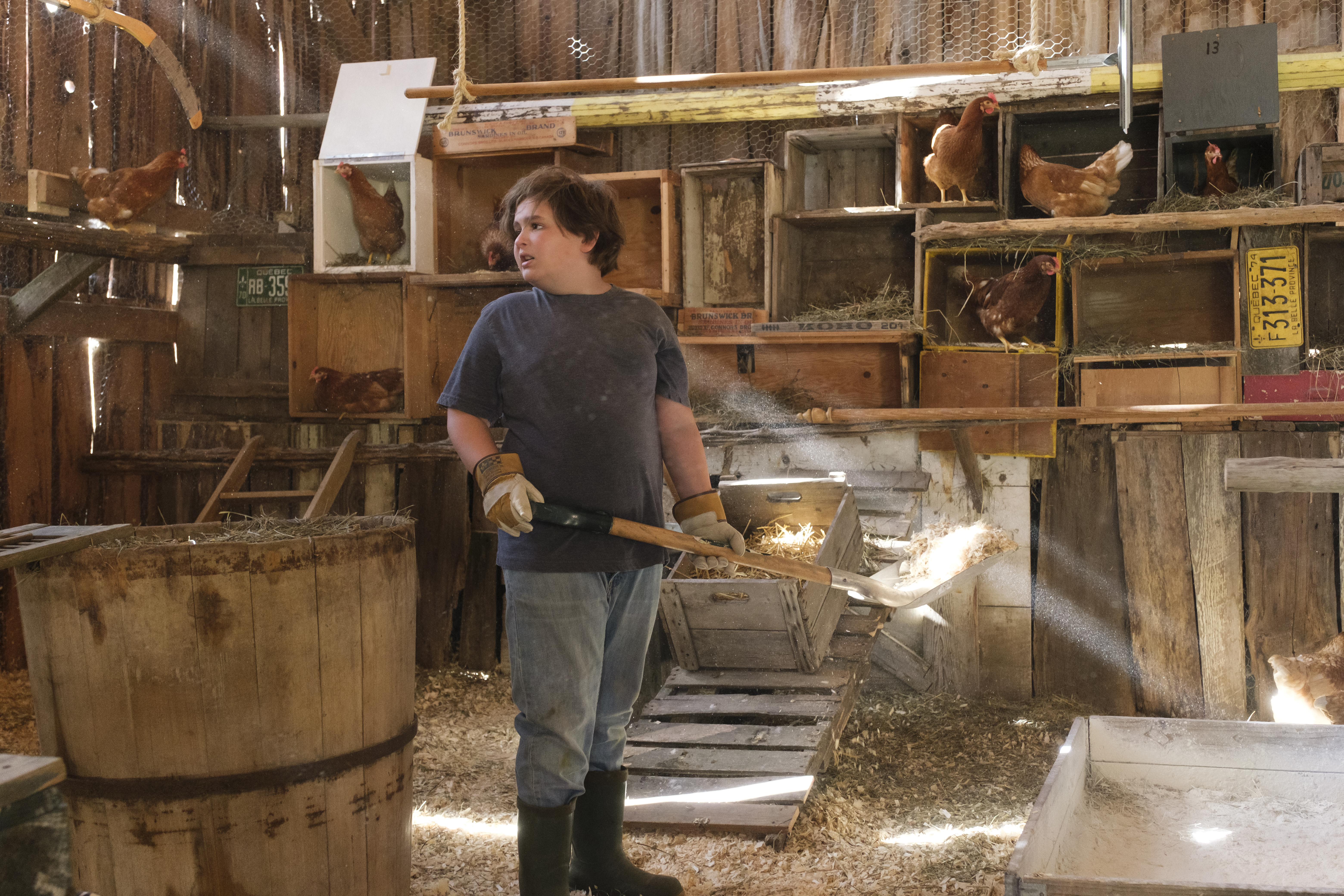 Szenenbild zu Coco Farm