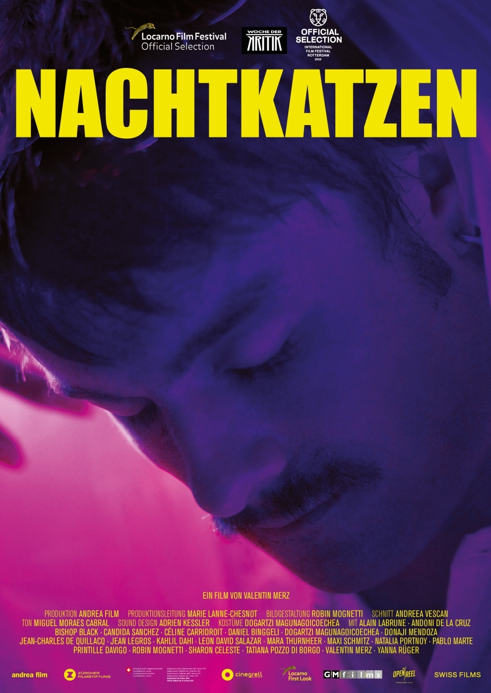 Filmplakat zu Nachtkatzen
