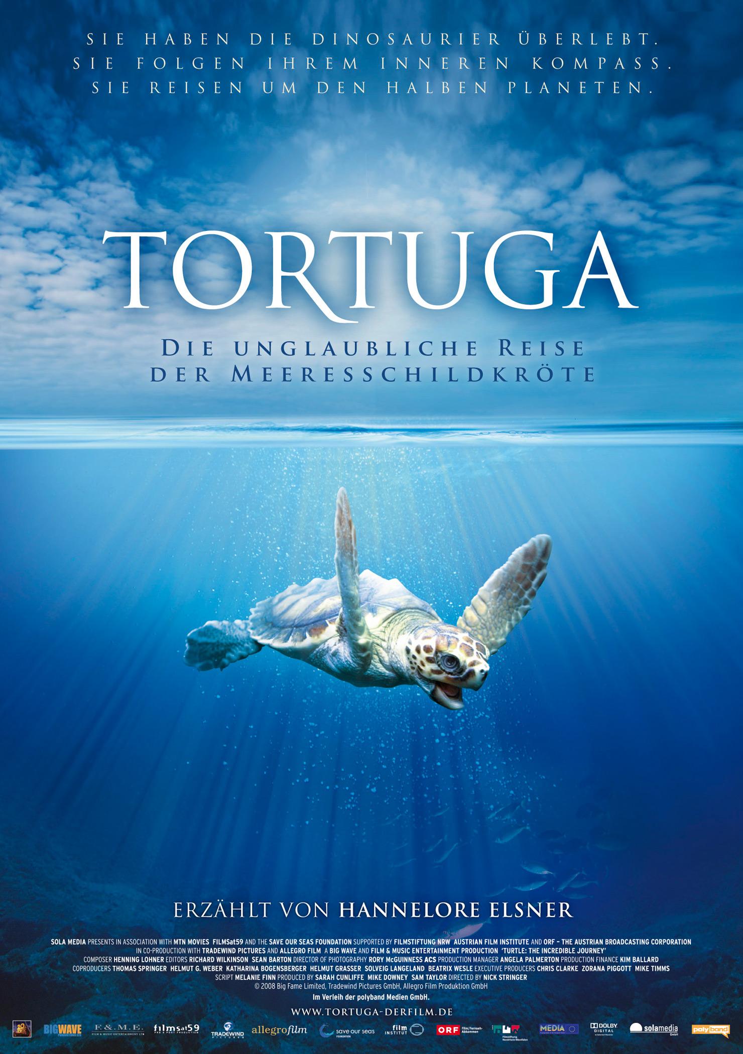 Filmplakat zu Tortuga - Die unglaubliche Reise der Meeresschildkröte