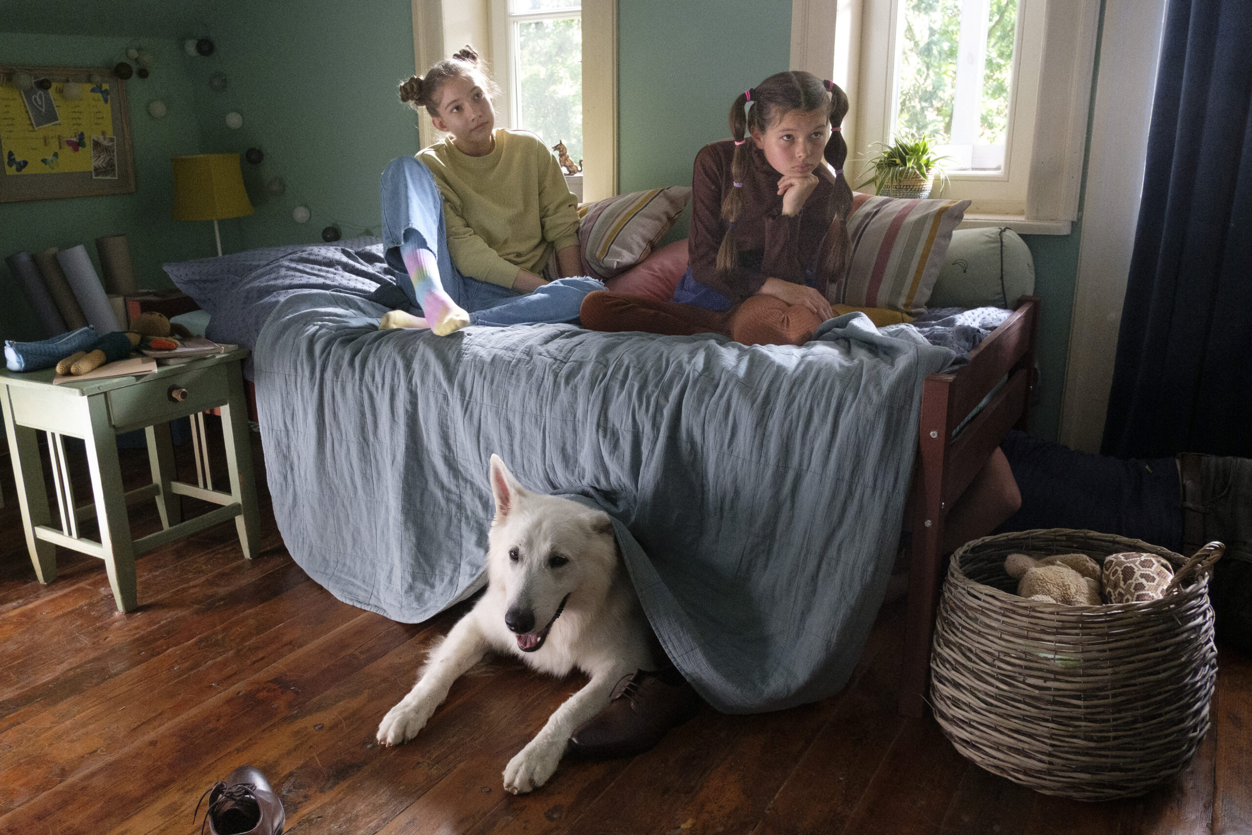 Szenenbild zu Lampo - Ein Vierbeiner auf Reisen