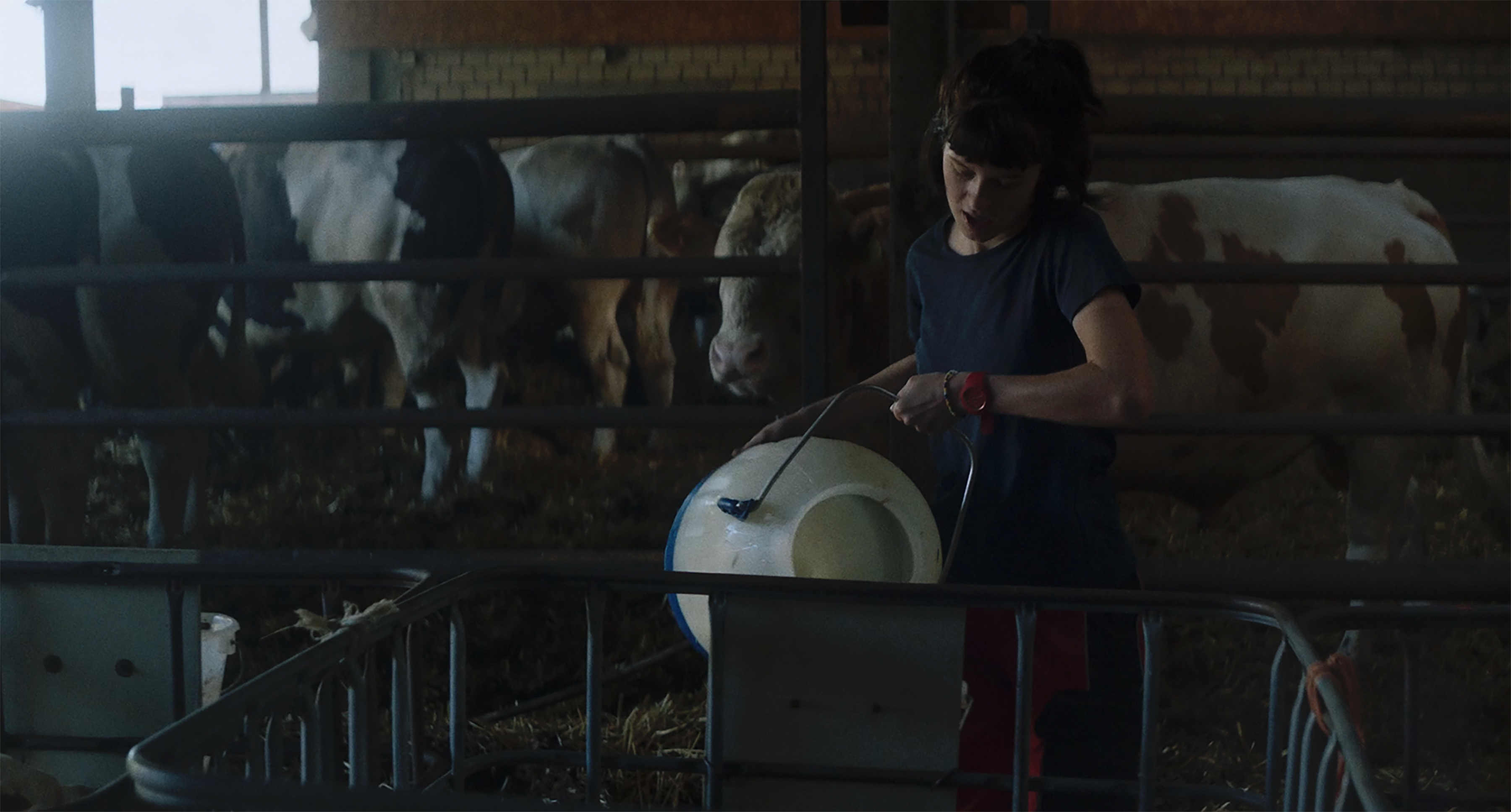 Szenenbild zu Viel Nebel im November