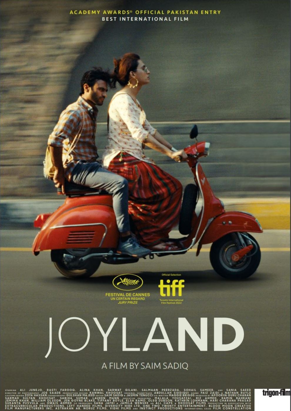 Filmplakat zu Joyland