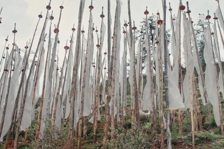 Szenenbild zu Agent of Happiness - Unterwegs im Auftrag des Glücks