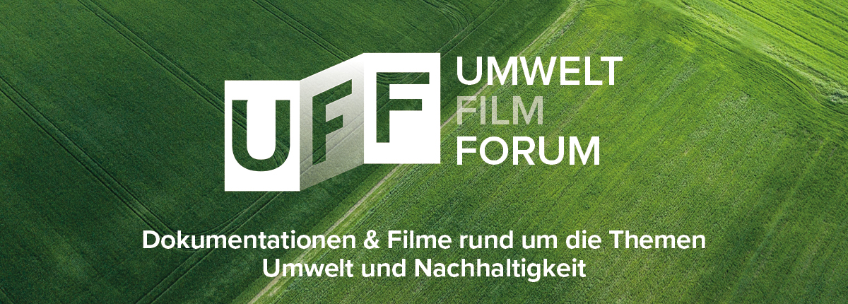 Bildkomponenete_Kategorie