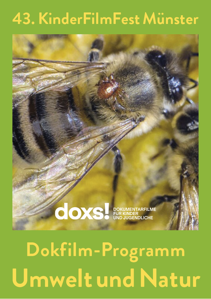 Filmplakat zu Filmprogramm Umwelt und Natur