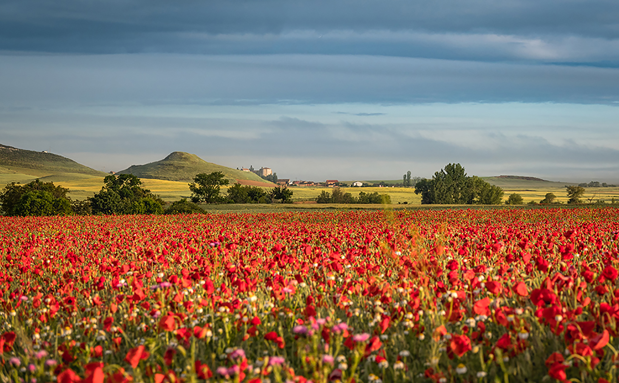 Szenenbild zu Nur die Füße tun mir leid