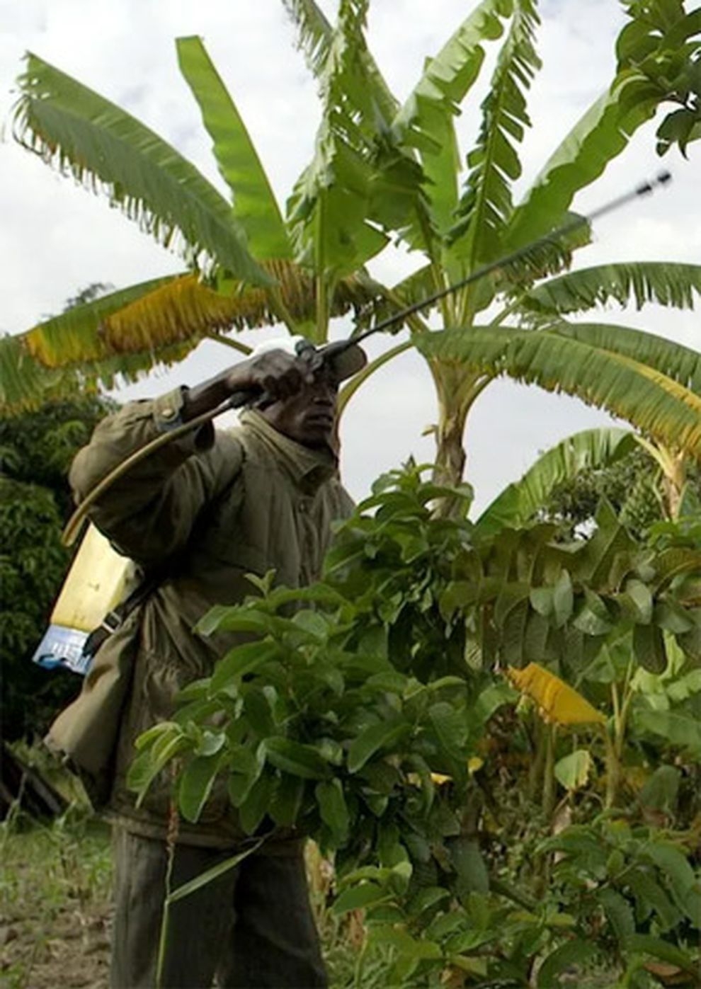 Filmplakat zu Toxic Business