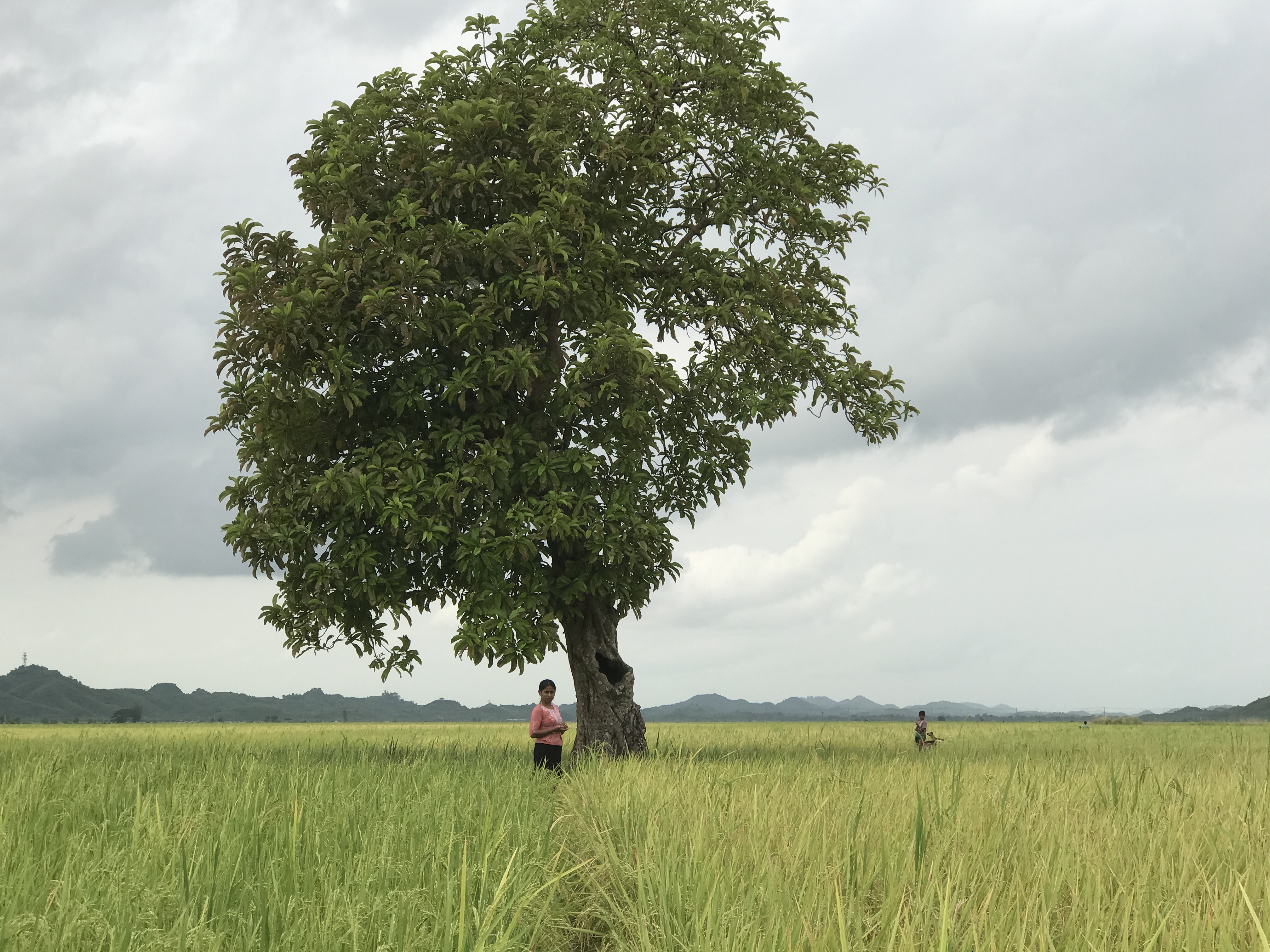 Szenenbild zu Midwives