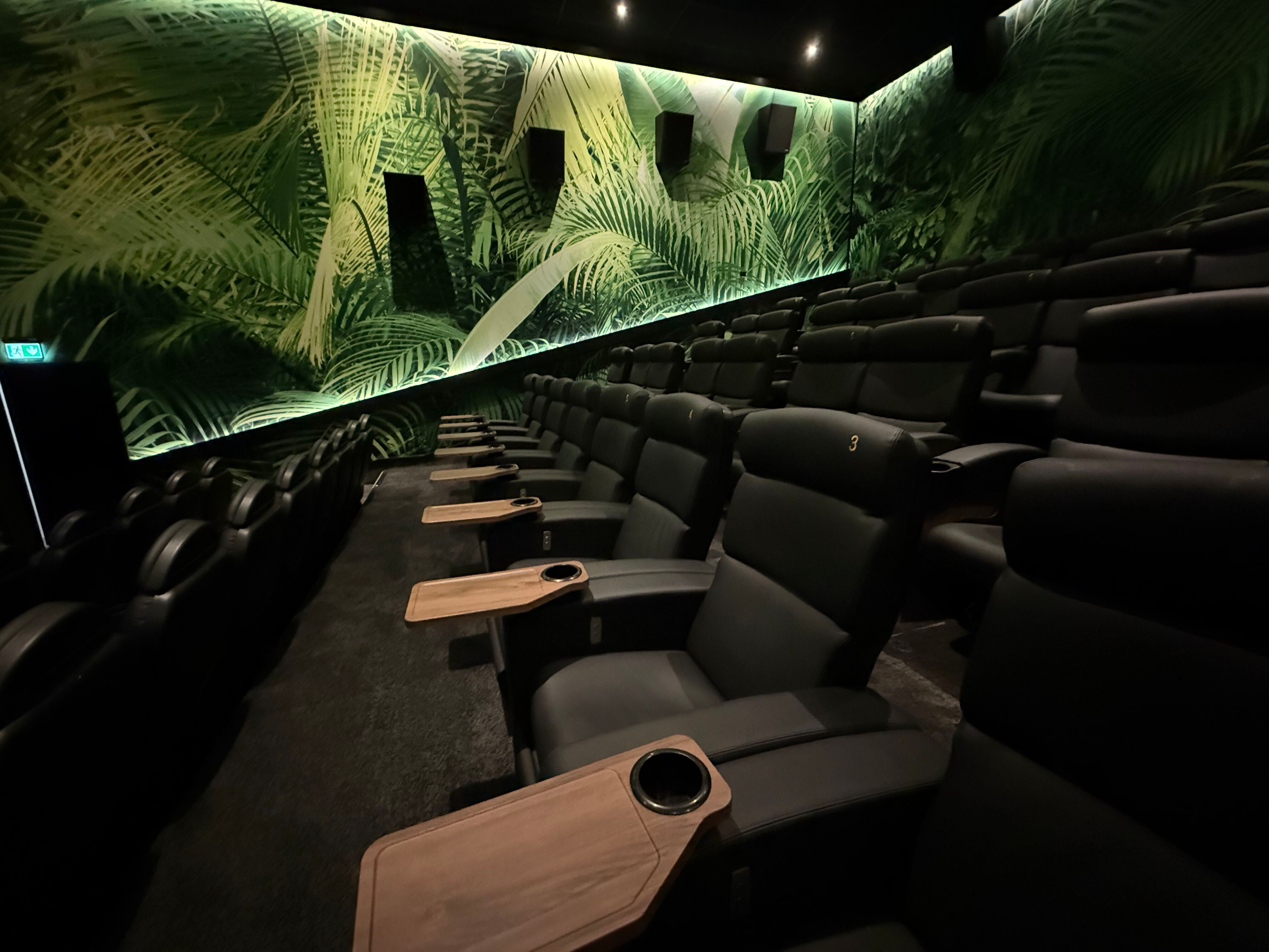 Kino 1 Limburg Detail 2