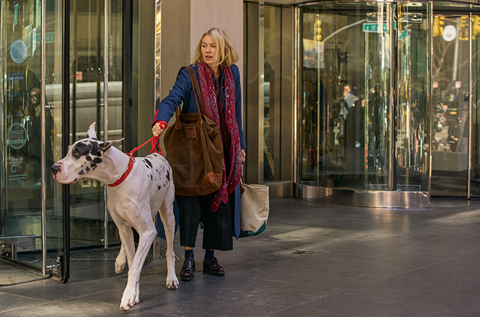 Szenenbild zu Loyal Friend