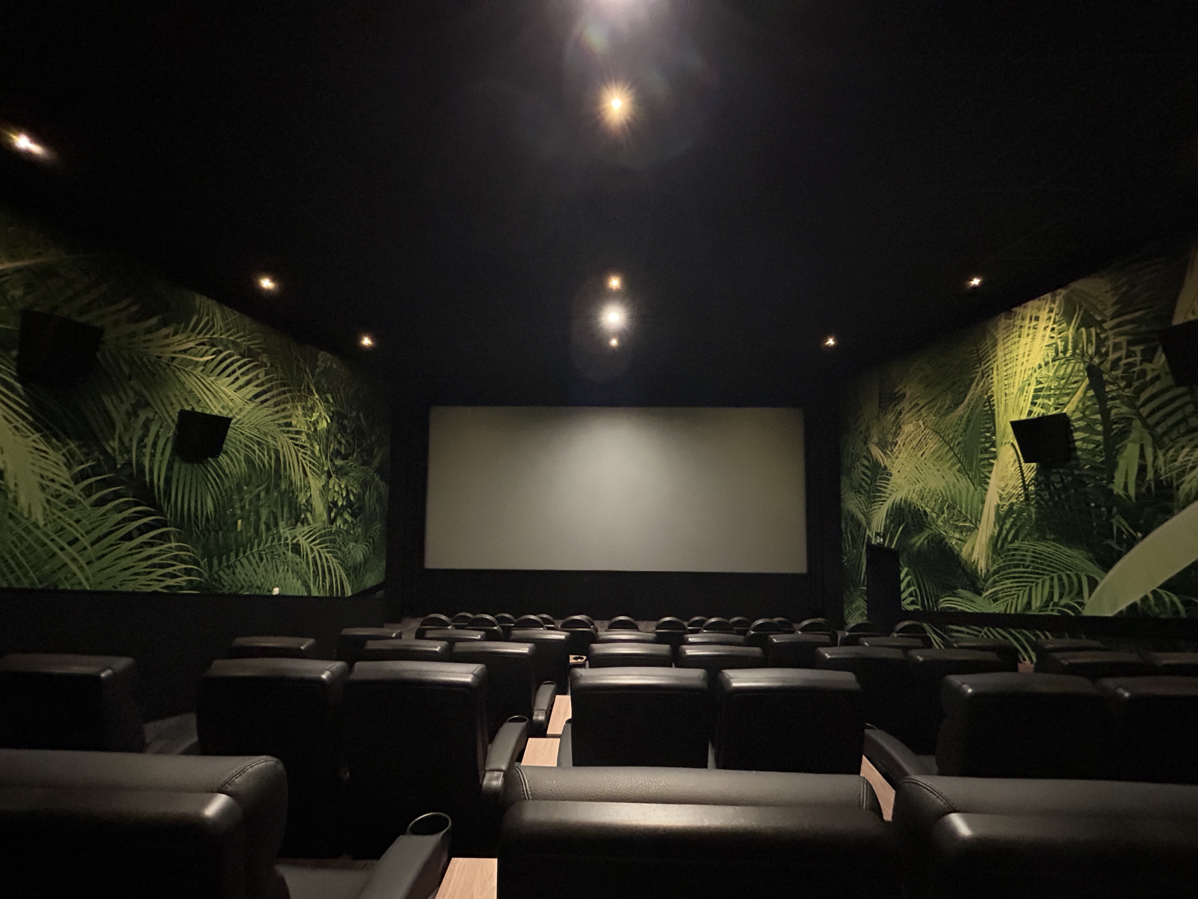 Kino 1 Hinten -Limburg