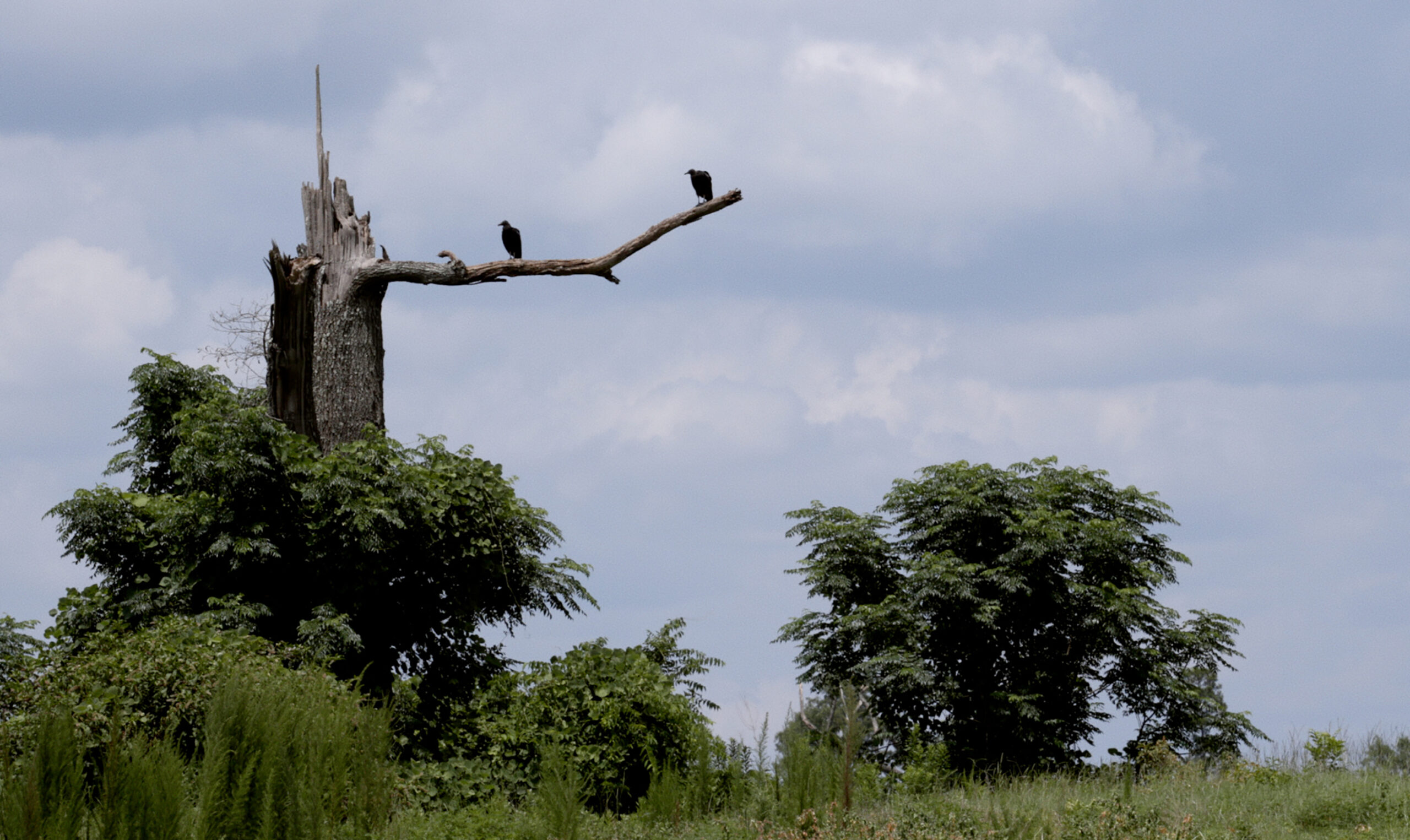 Szenenbild zu An Hour from the Middle of Nowhere