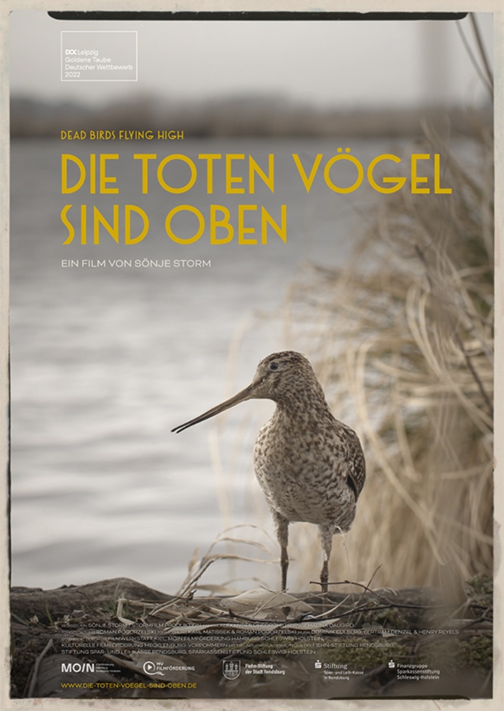Filmplakat zu Die toten Vögel sind oben