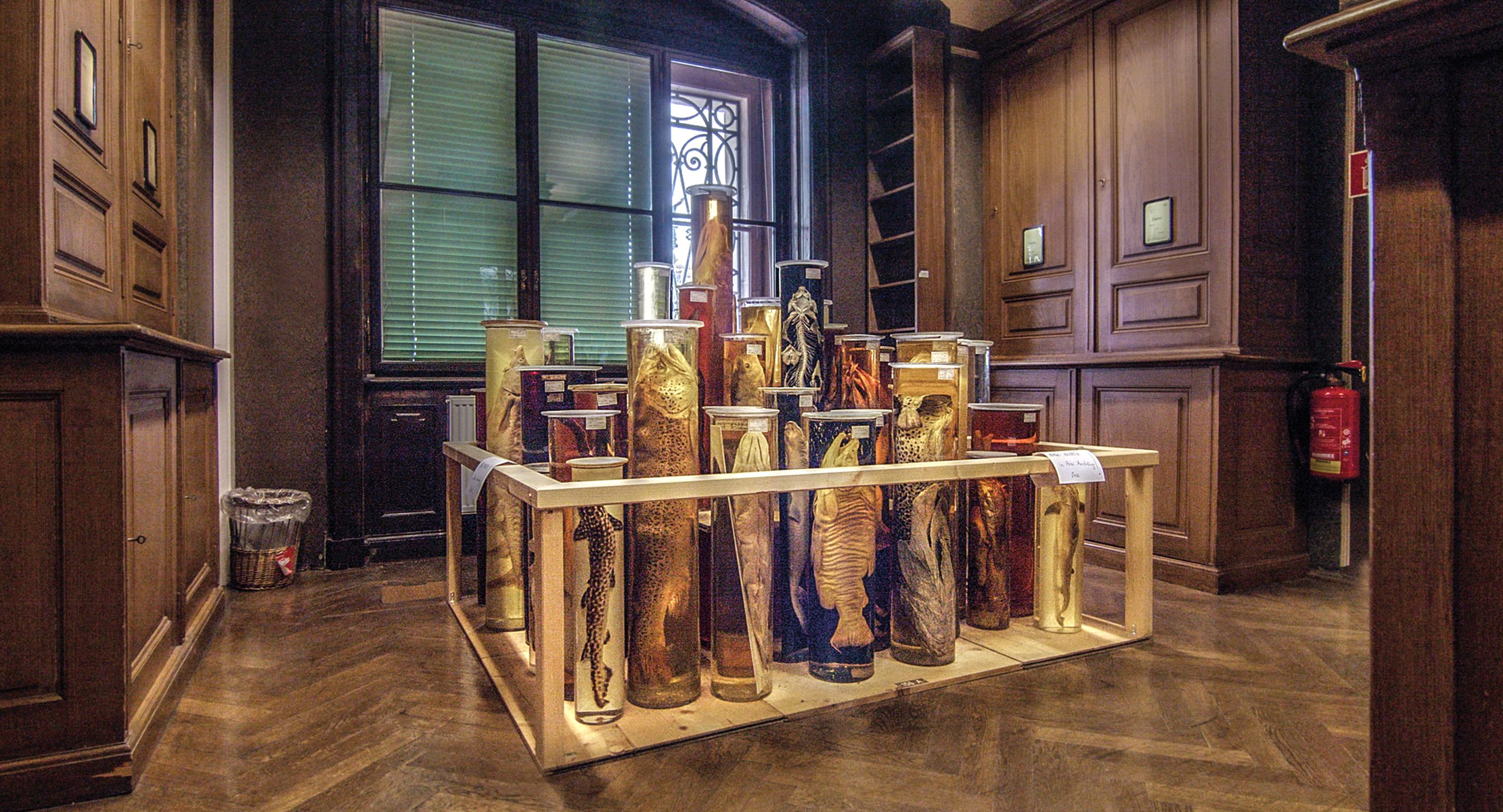 Szenenbild zu Archiv der Zukunft