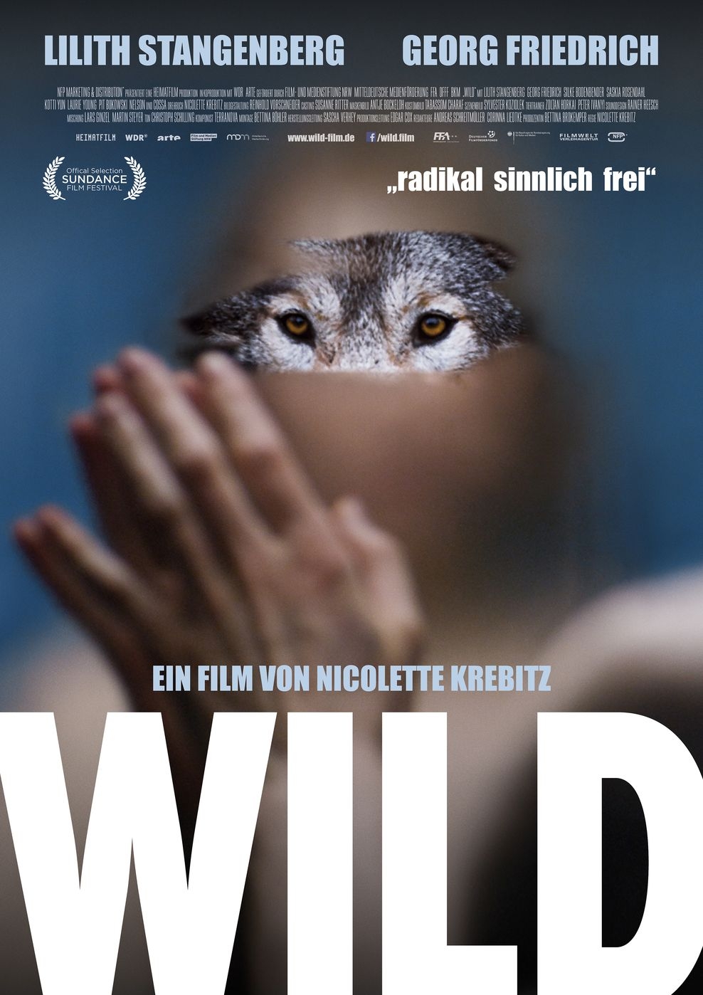 Filmplakat zu Wild