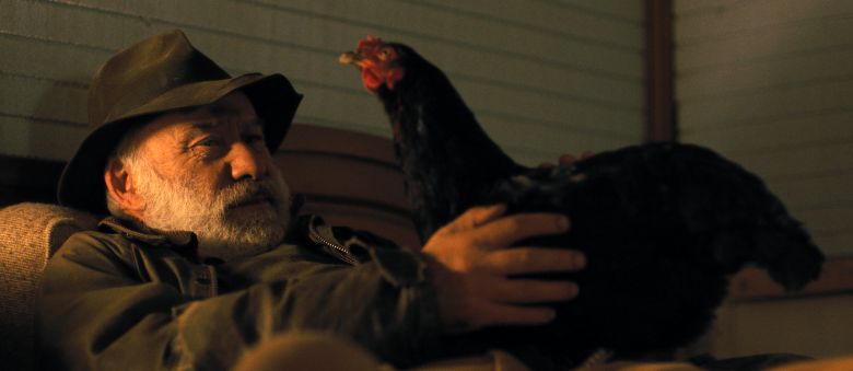 Szenenbild zu Lebensansichten eines Huhns