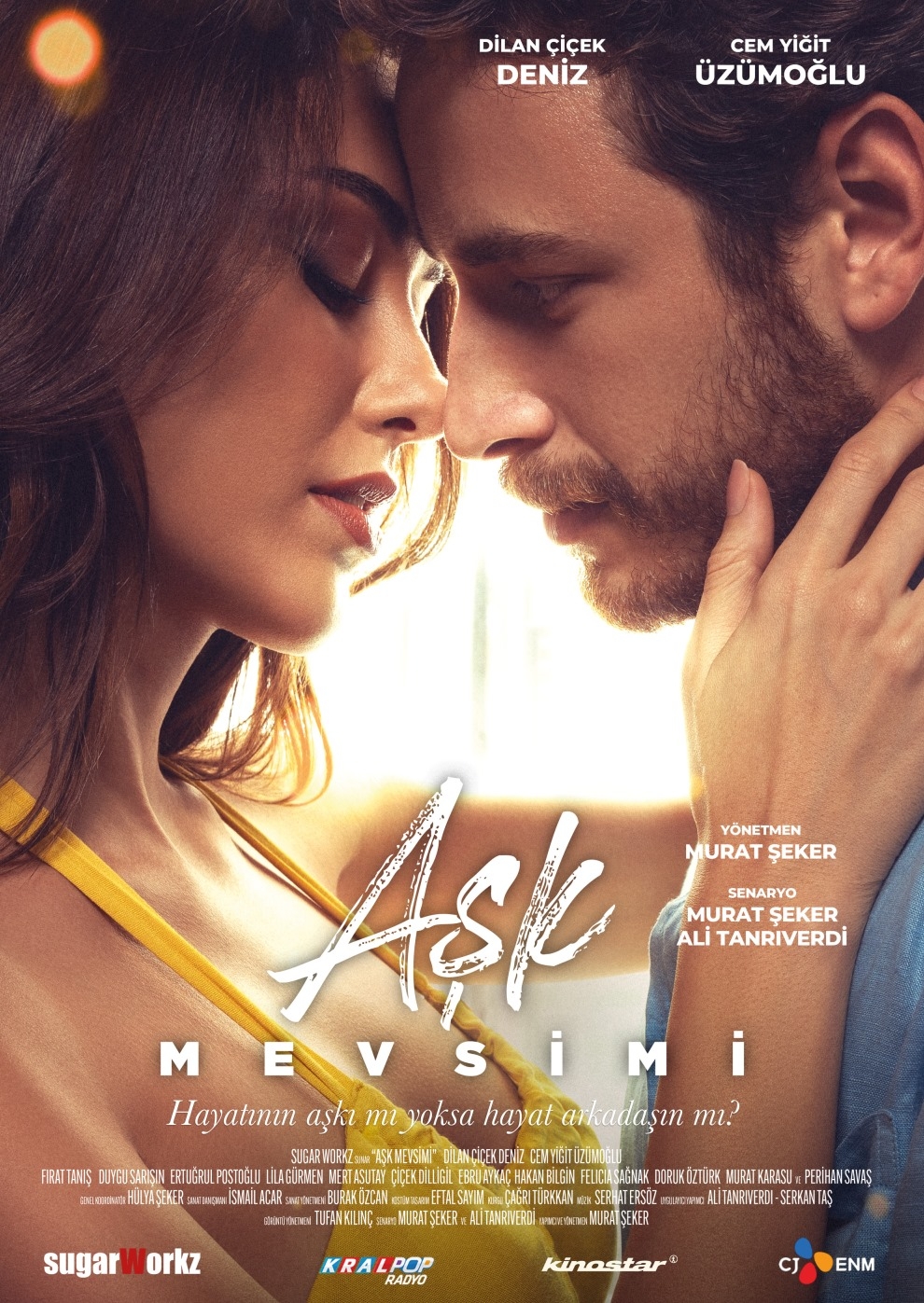 Filmplakat zu Ask Mevsimi