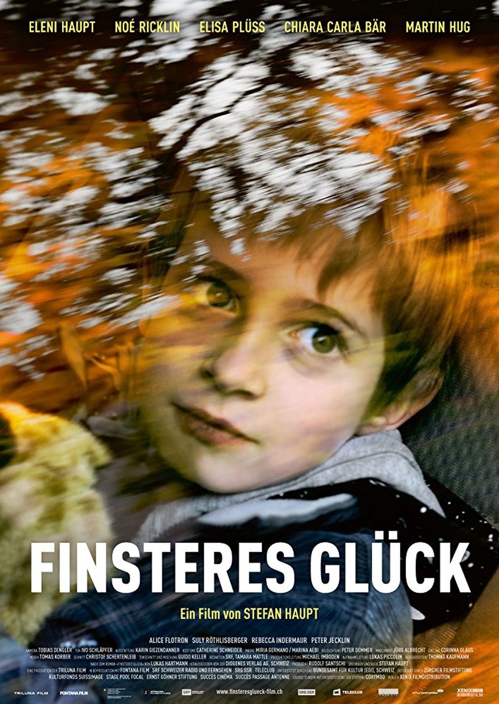 Filmplakat zu Finsteres Glück