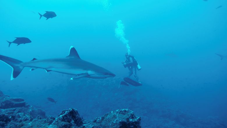 Szenenbild zu Segeljungs