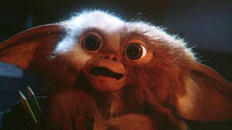 Szenenbild zu Gremlins - Kleine Monster