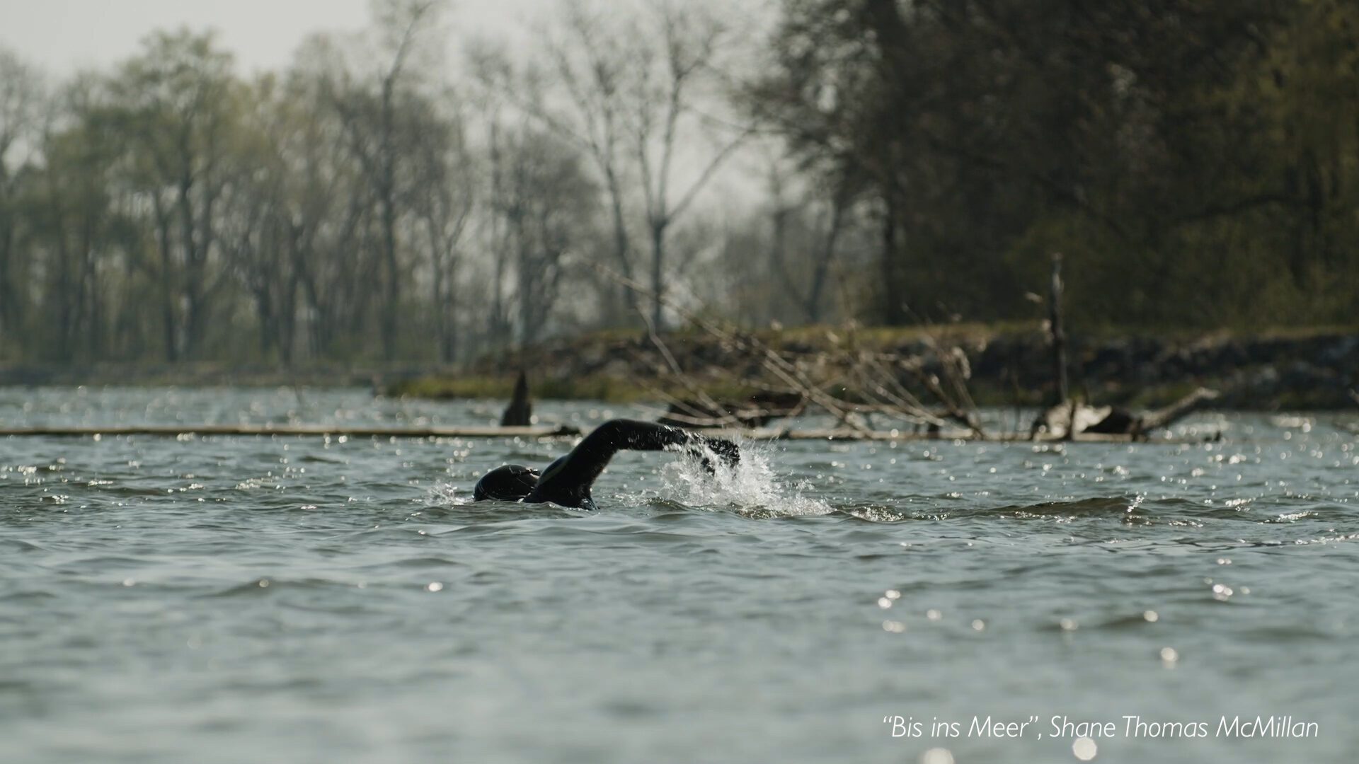 Szenenbild zu Bis ins Meer - 2.700 km schwimmend durch die Donau