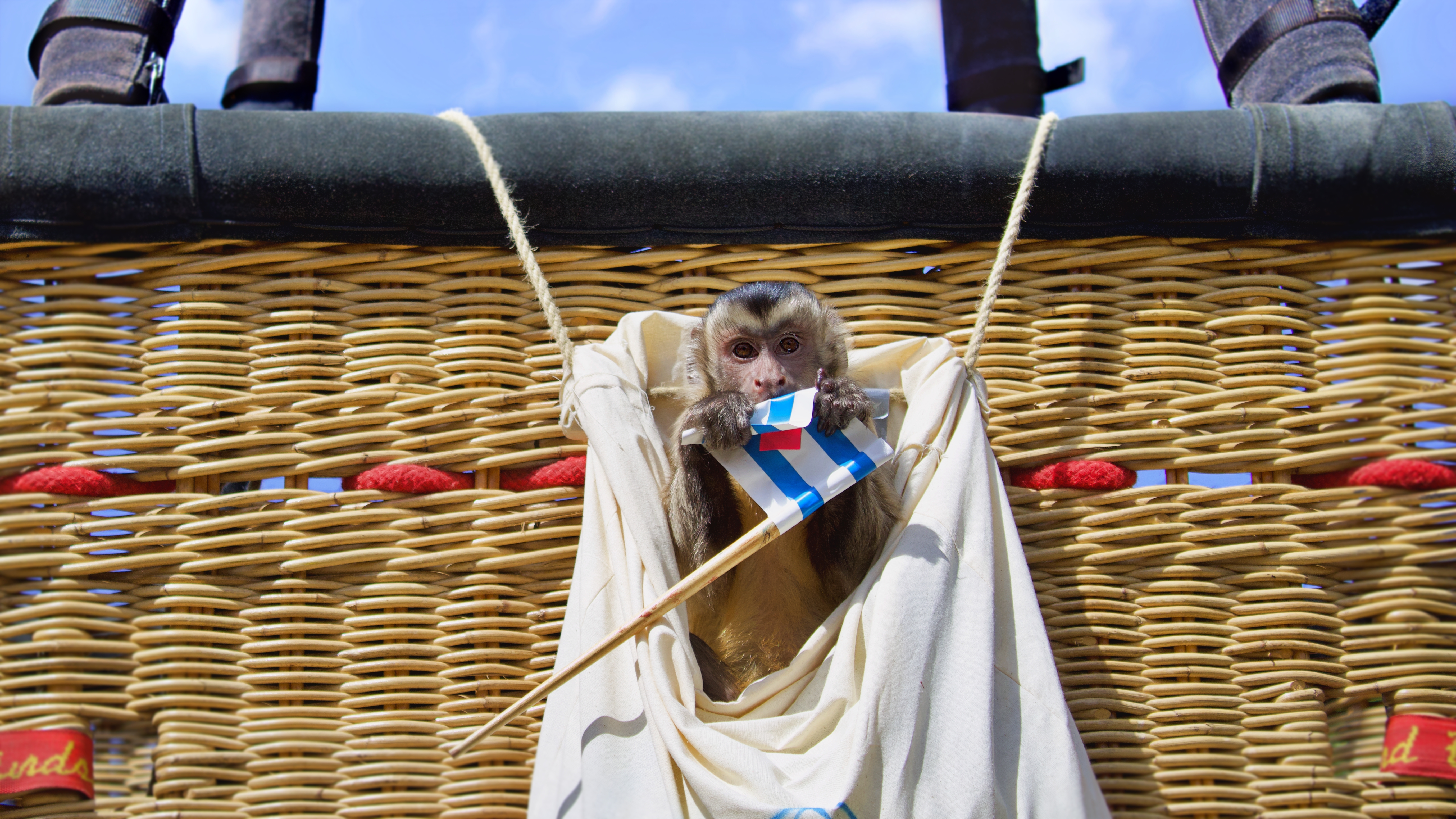 Szenenbild zu Akiko, der fliegende Affe