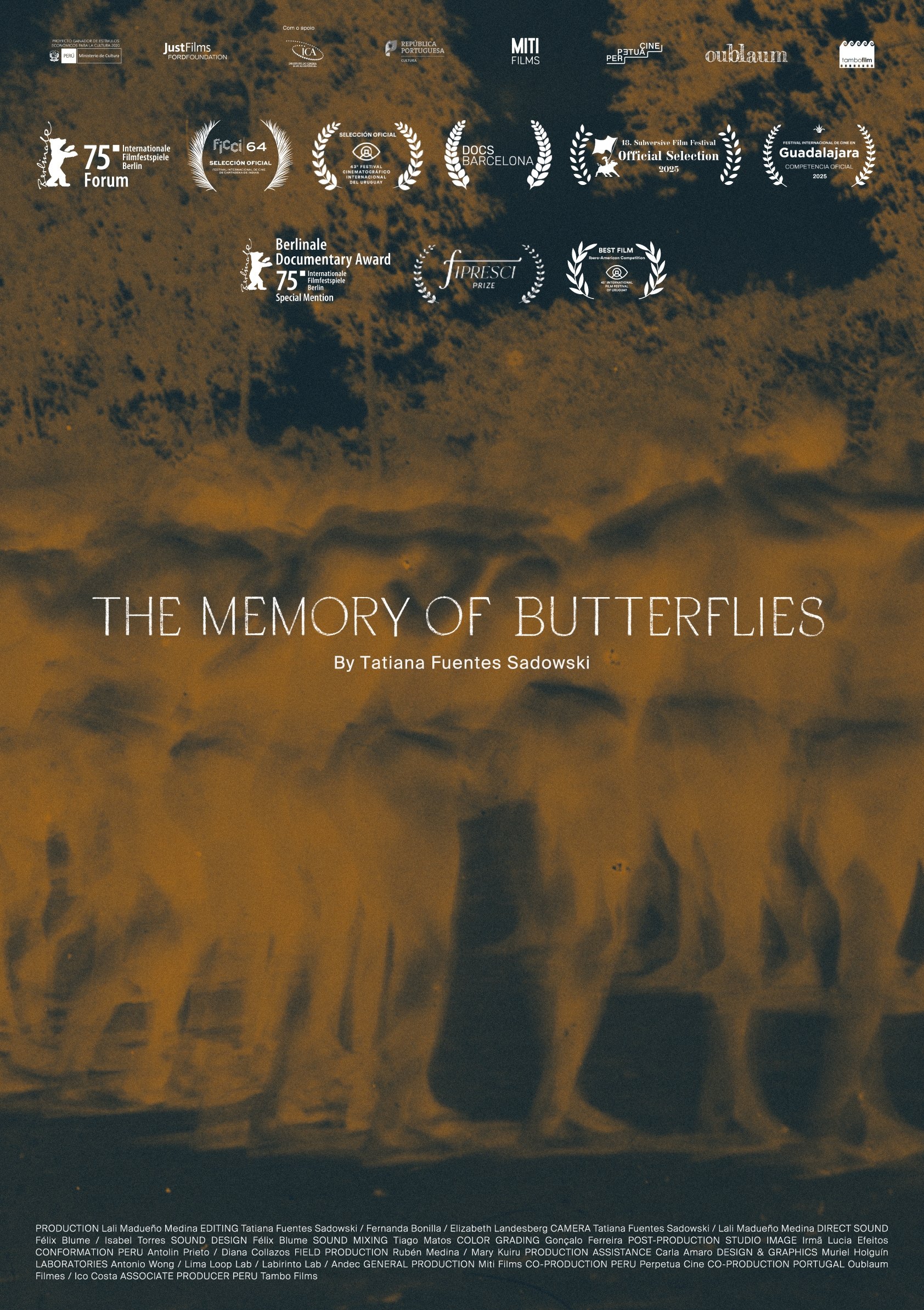 Filmplakat zu The memory of butterflies