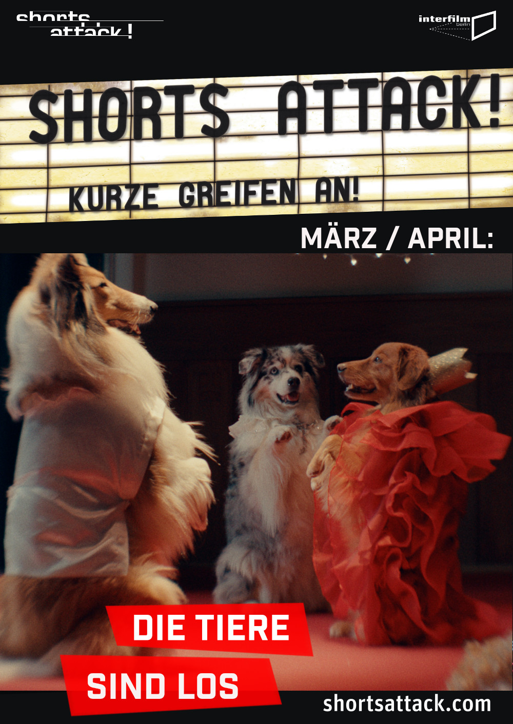 Filmplakat zu Shorts Attack 2026: Die Tiere sind los