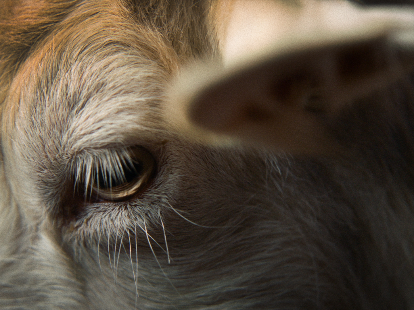 Szenenbild zu Stille Beobachter