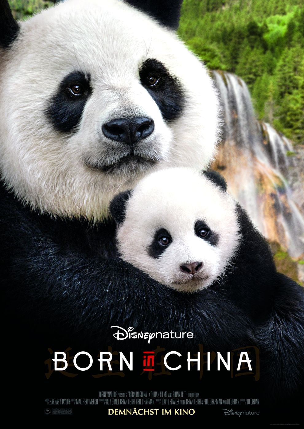 Filmplakat zu Born in China