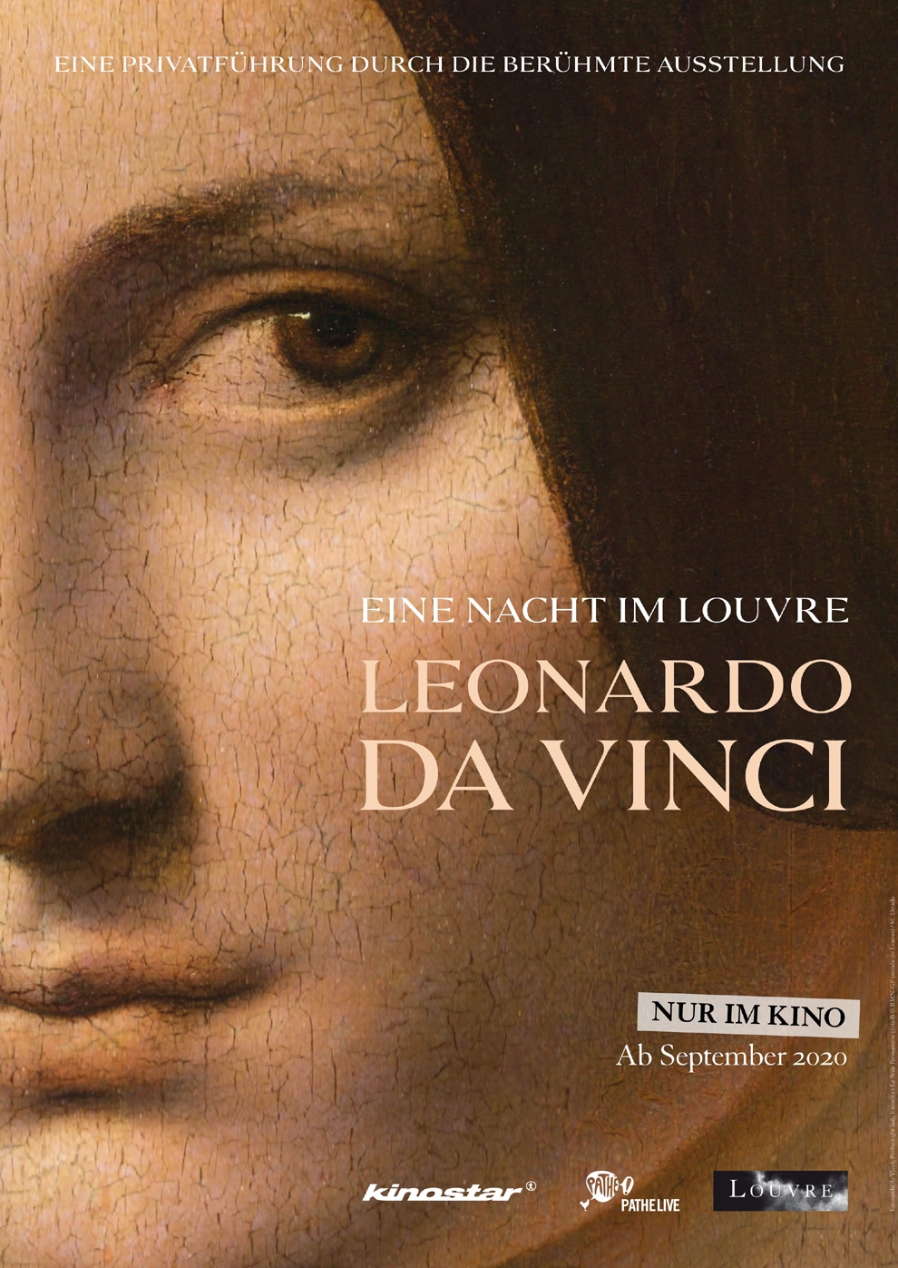 Filmplakat zu Eine Nacht im Louvre: Leonardo da Vinci