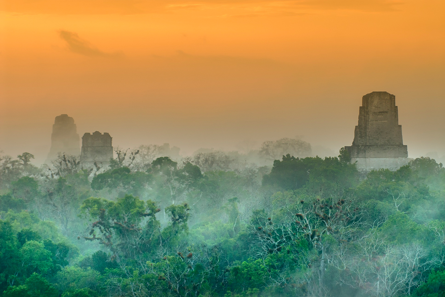 Szenenbild zu Die Weisheit der Maya - Mexiko, Guatemala und Belize