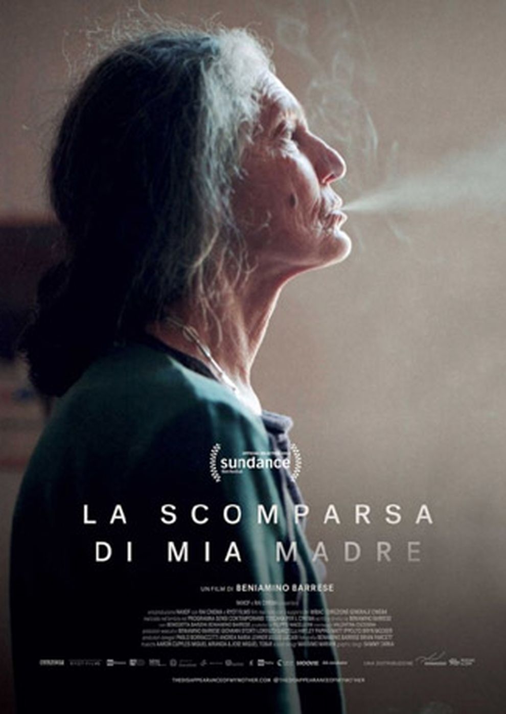 Filmplakat zu Das Verschwinden meiner Mutter