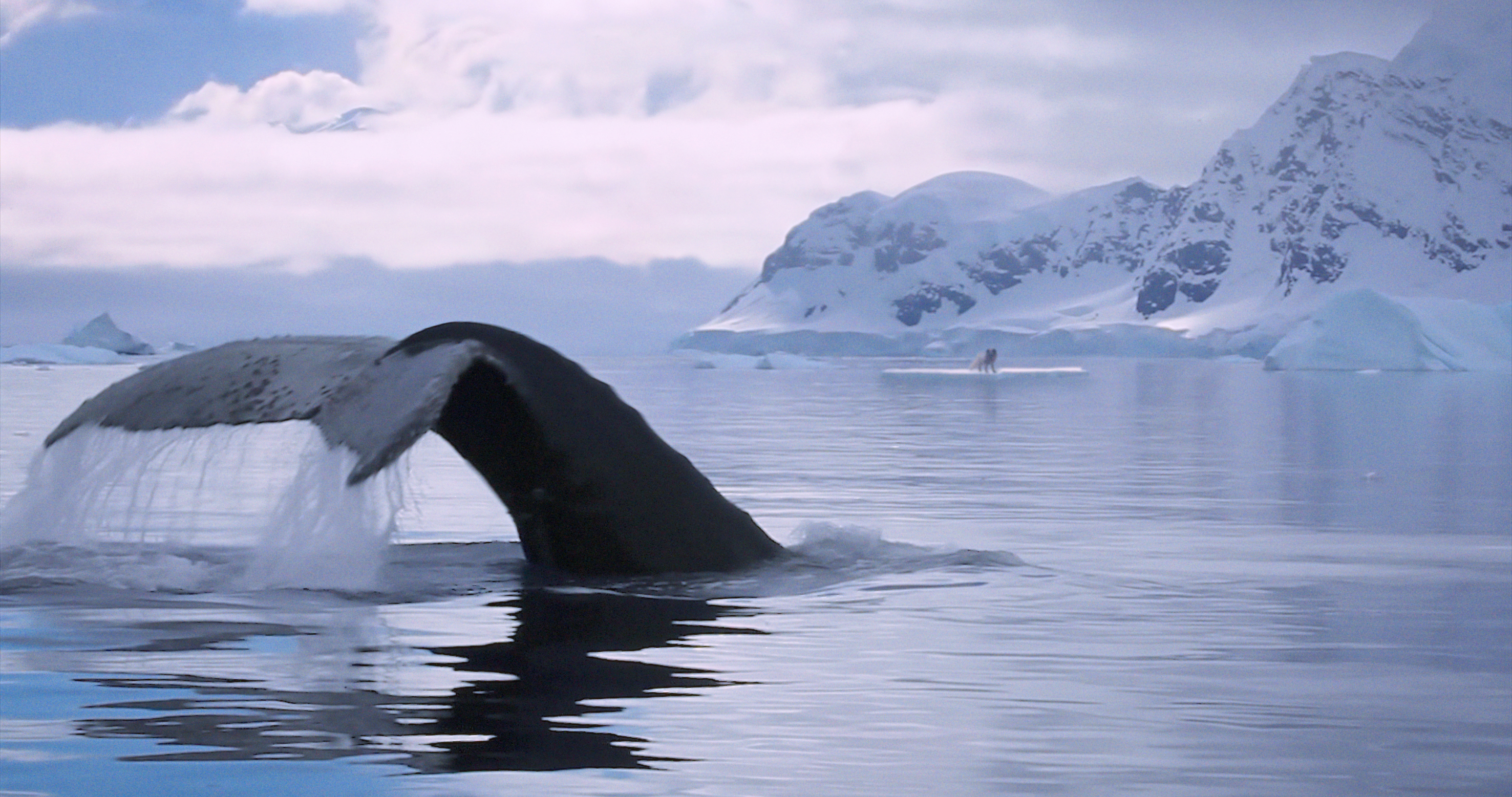 Szenenbild zu Die Abenteuer von Kina & Yuk