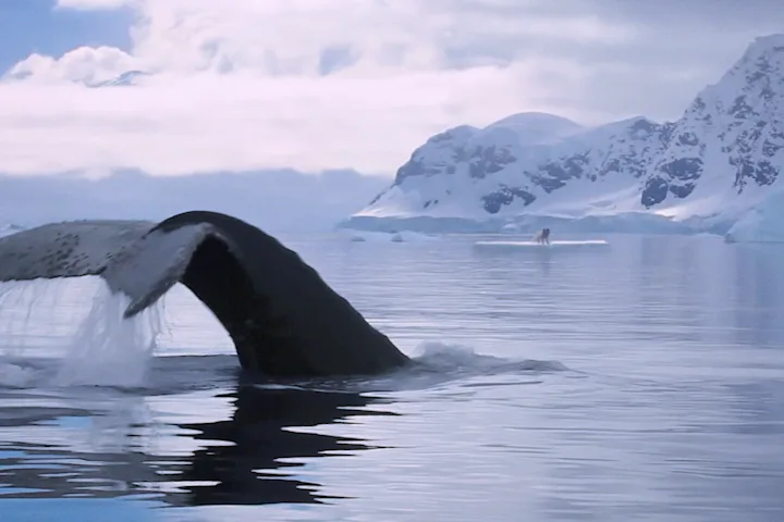 Szenenbild zu Die Abenteuer von Kina & Yuk