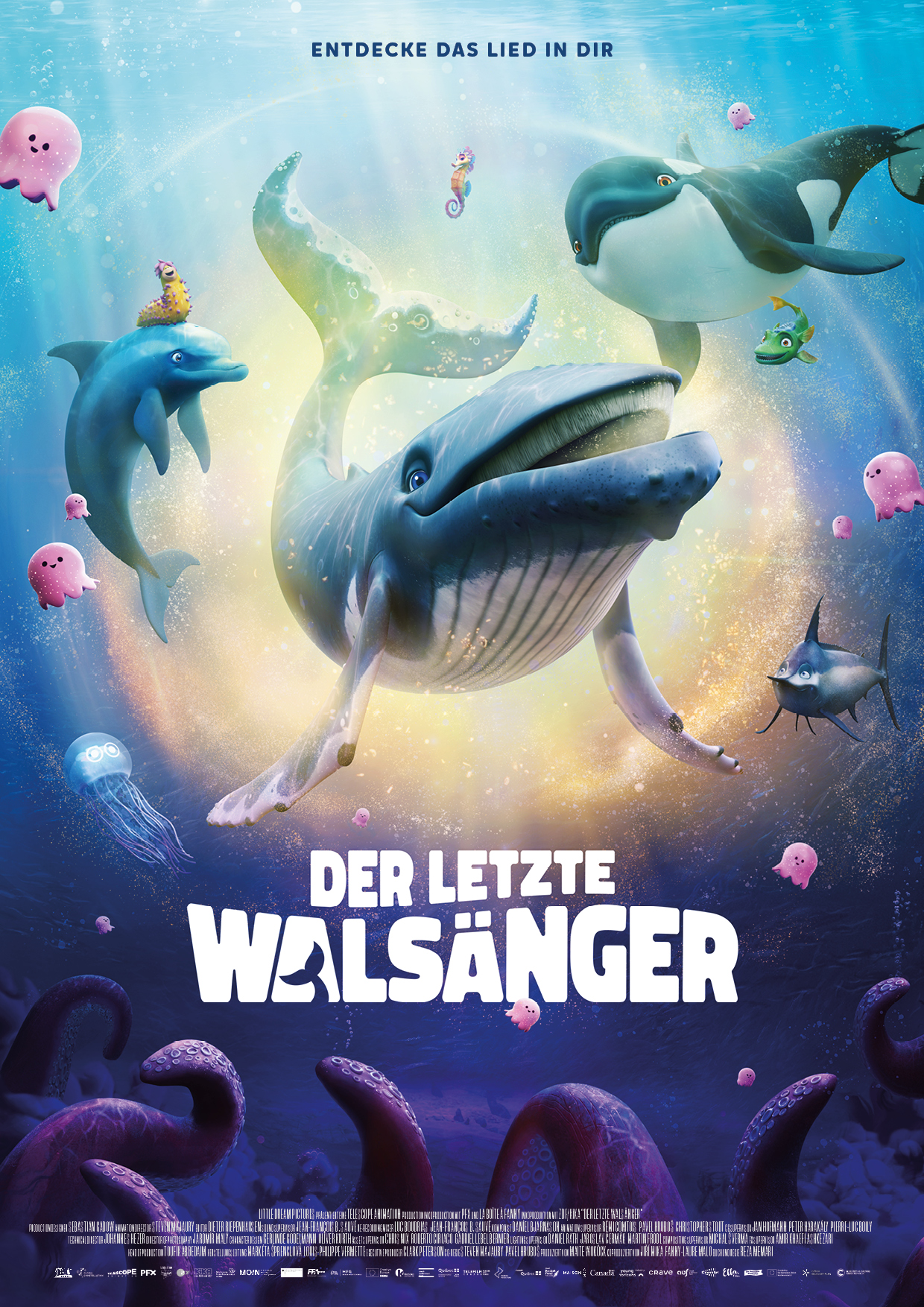 Filmplakat zu Der letzte Walsänger