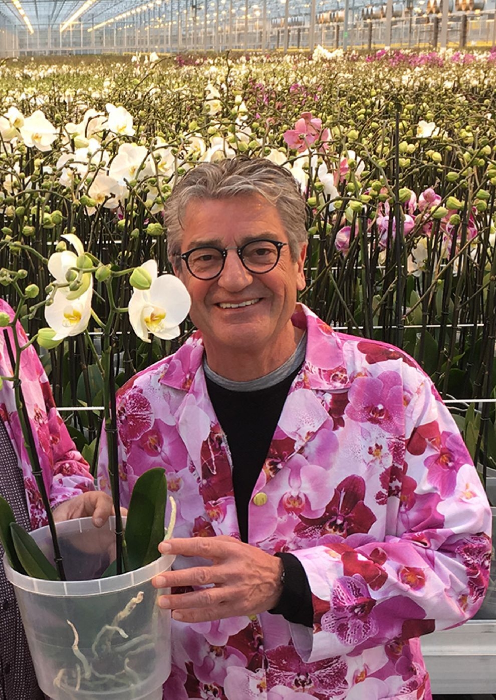 Filmplakat zu Best Of Gernstl