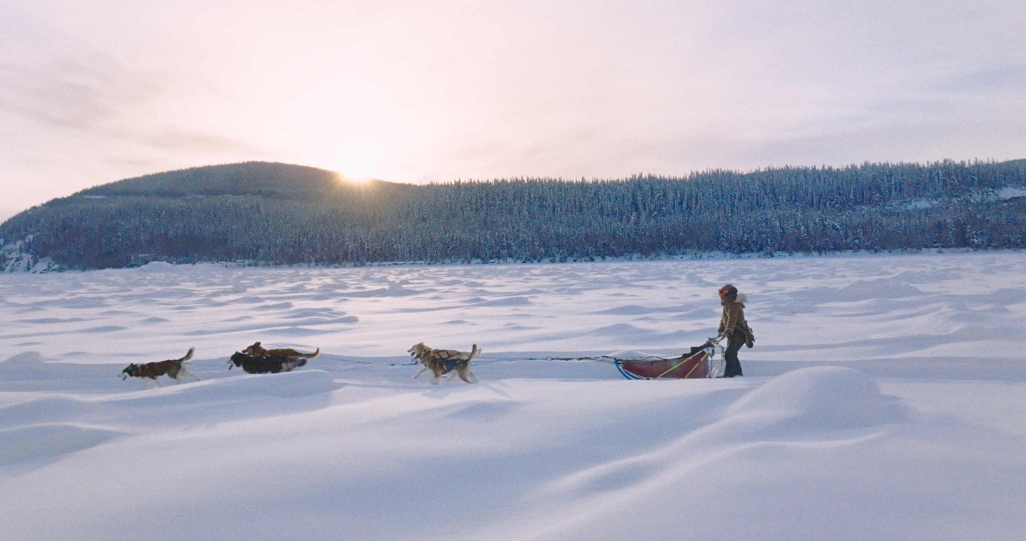 Szenenbild zu Die Abenteuer von Kina & Yuk