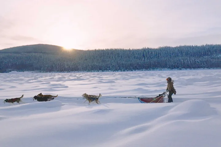 Szenenbild zu Die Abenteuer von Kina & Yuk