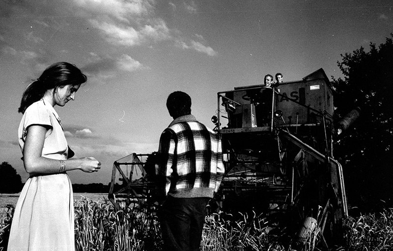 Szenenbild zu Gelbe Sorte