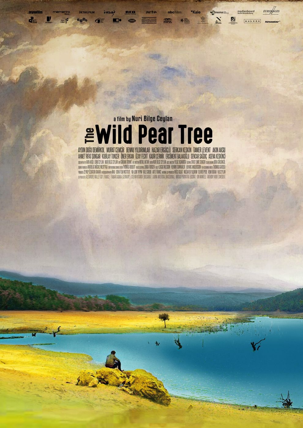 Filmplakat zu The Wild Pear Tree