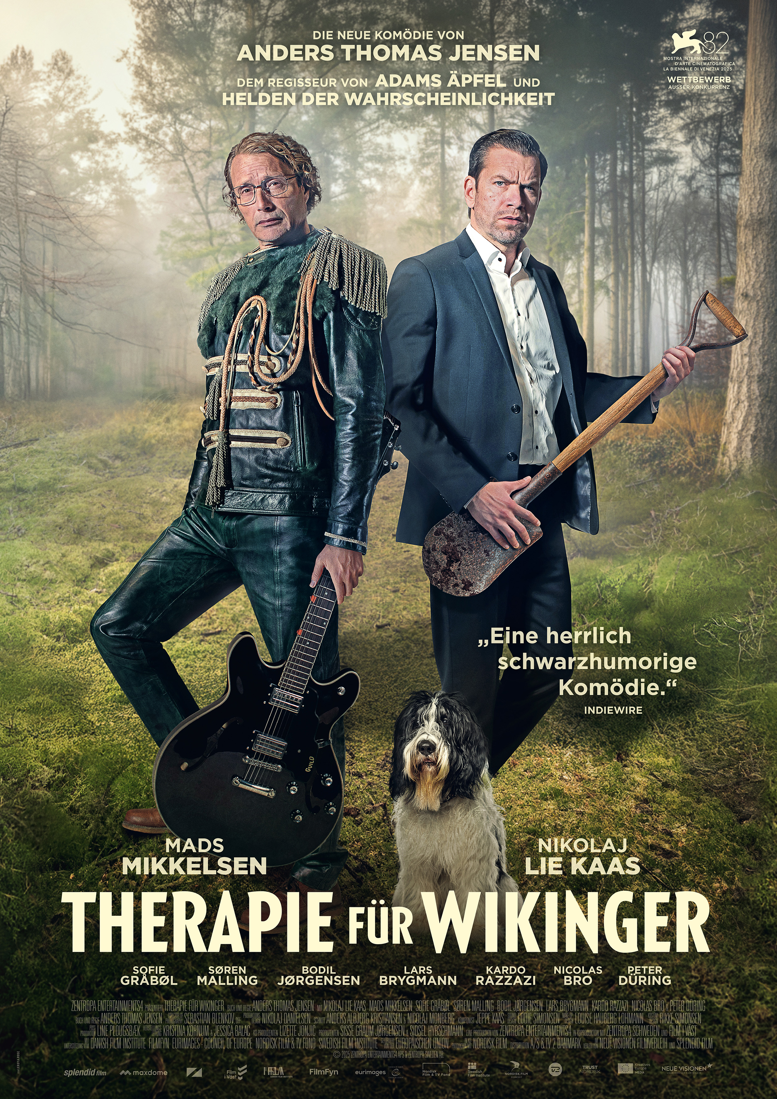 Filmplakat zu Therapie für Wikinger