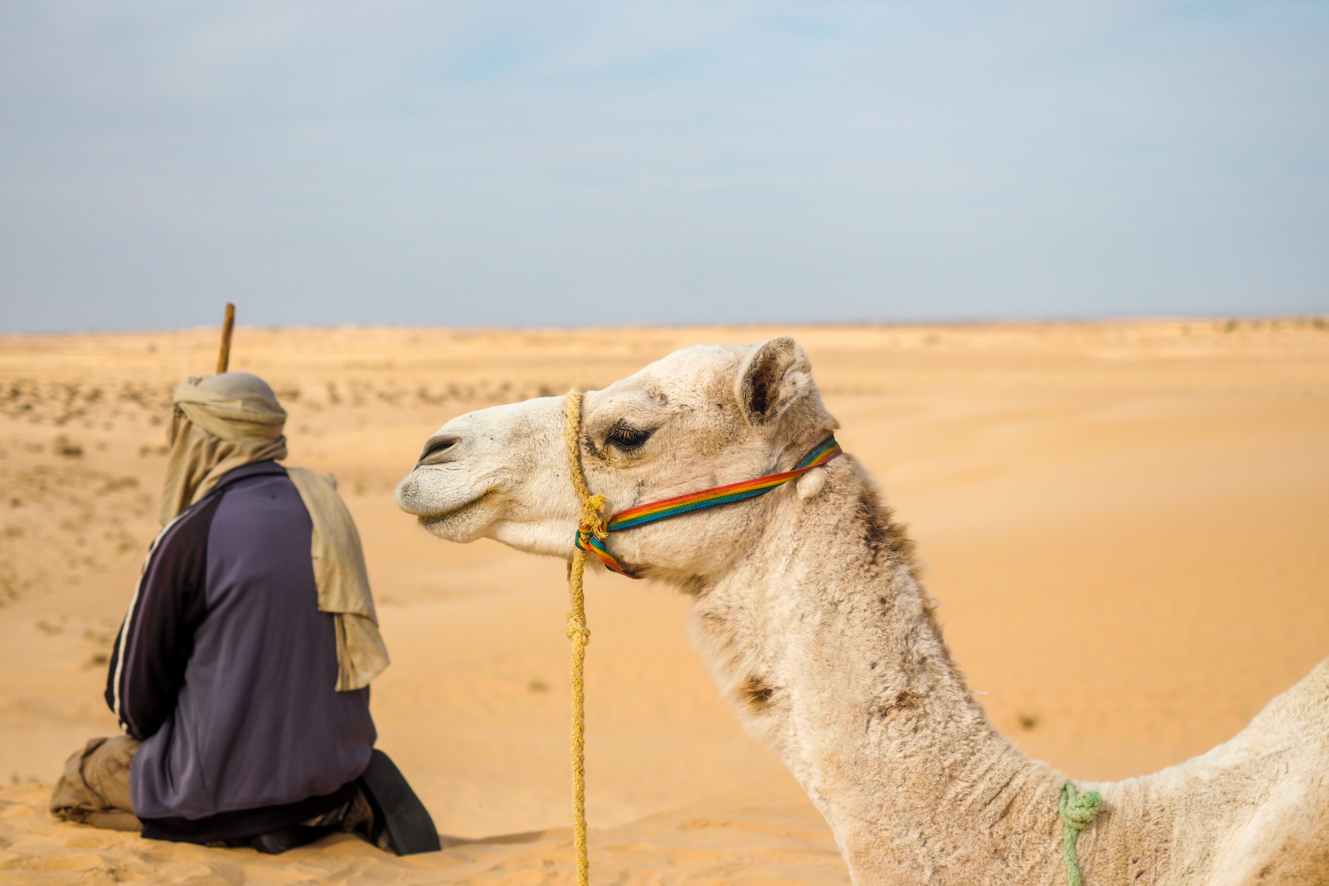 Szenenbild zu Tunesien: Das Tor zur Wüste