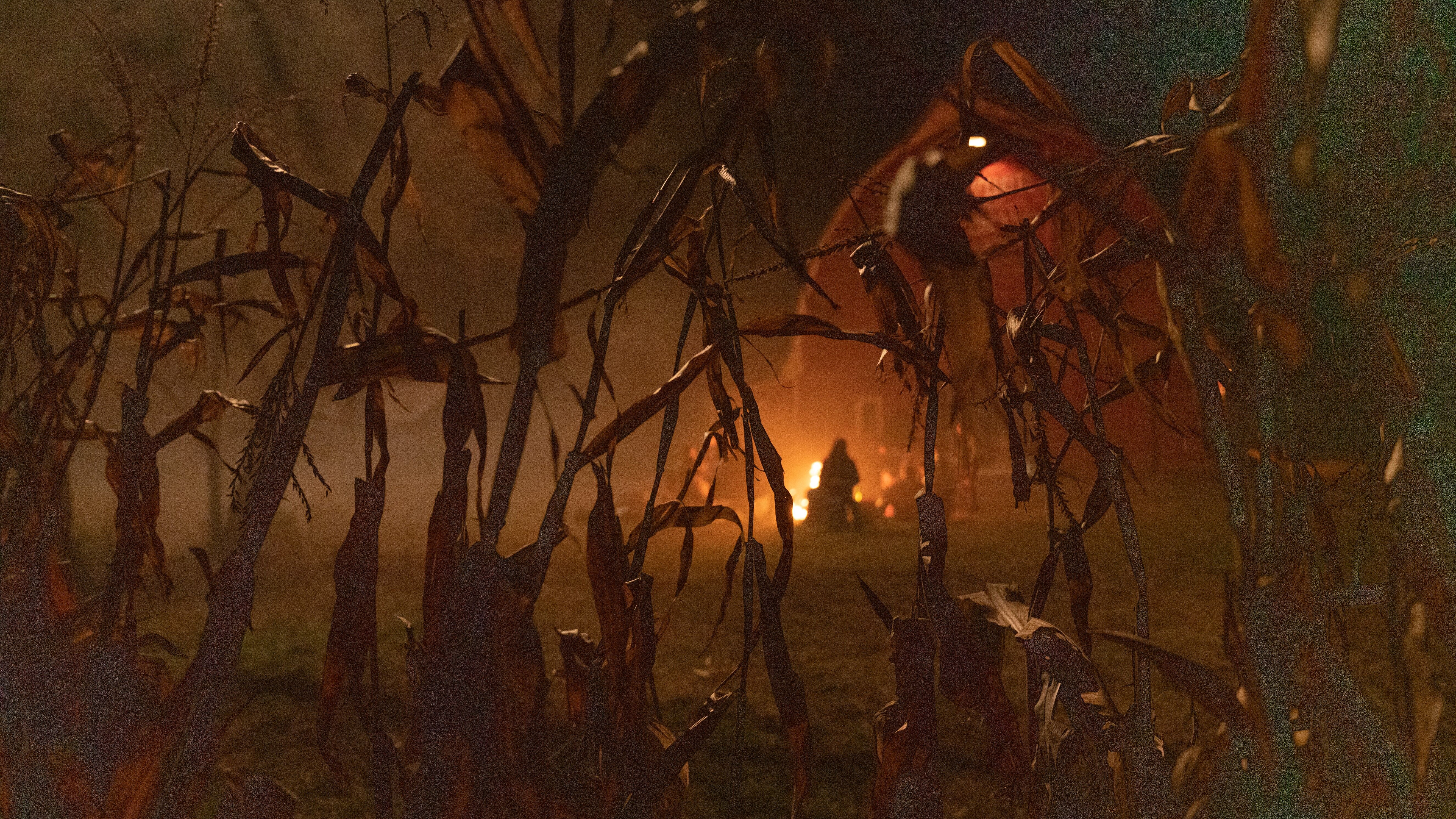 Szenenbild zu Clown in a Cornfield