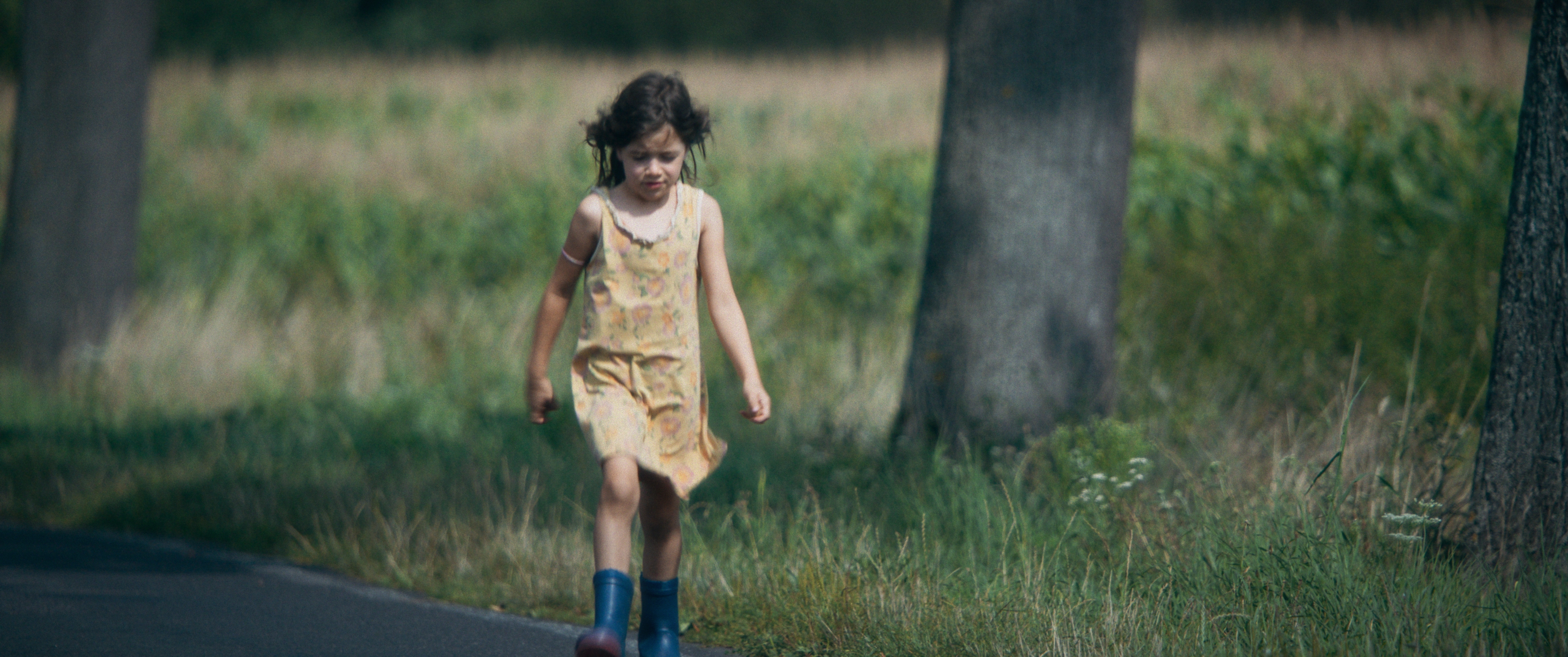 Szenenbild zu Zikaden