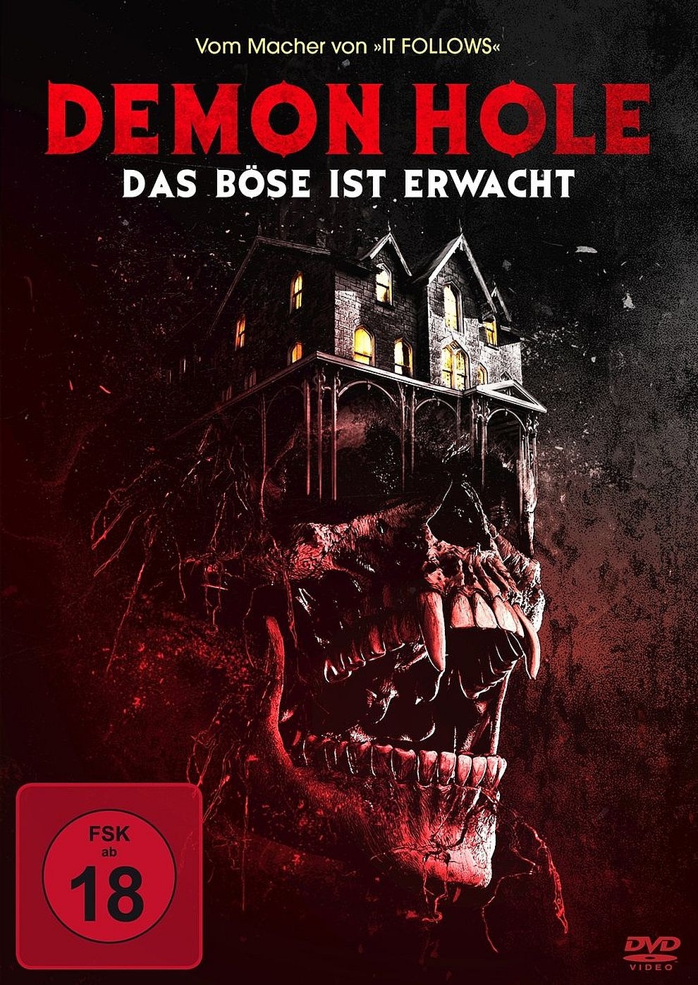 Filmplakat zu Demon Hole - Das Böse ist erwacht